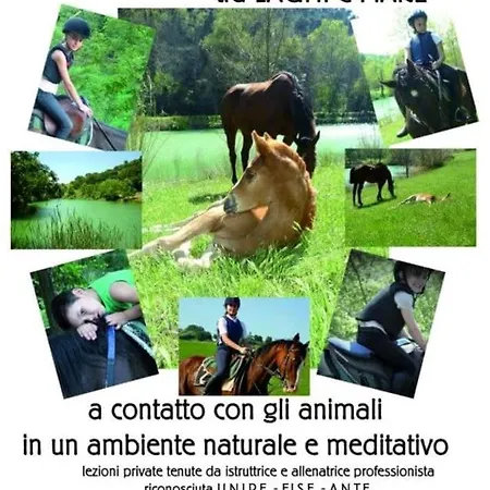 La Mouette * Porto San Giorgio