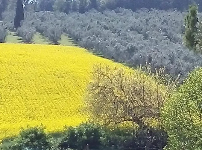La Mouette * Porto San Giorgio